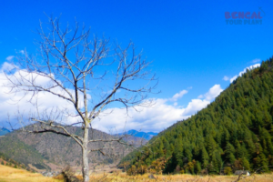 Arunachal Pradesh Tour from Pune
