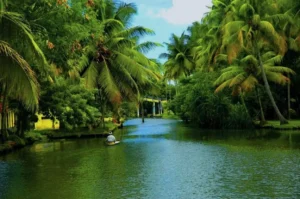 Kerala Tour Packages from Kolkata