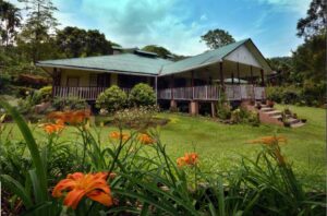 The-Fagu-Tea-Bungalow