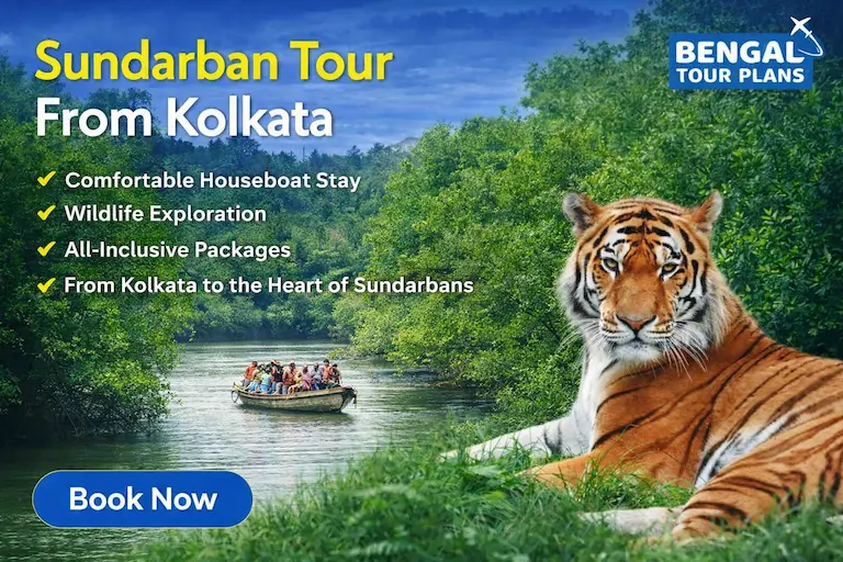 Sundarban Package Tours From Kolkata