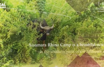 Screenshot 2026-03-07 181500